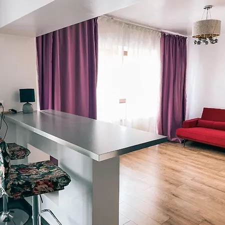 Apartament Cozy Studio Central